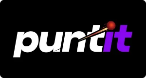 Puntit logo